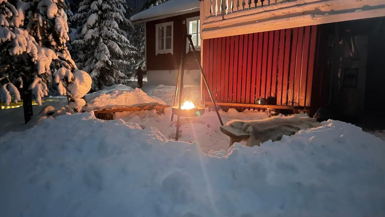 Mountain Cabin ロフストーラン エクステリア 写真