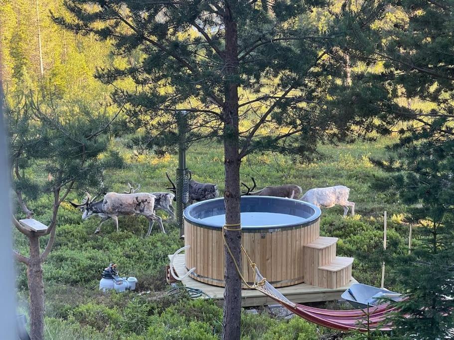 Mountain Cabin ロフストーラン エクステリア 写真