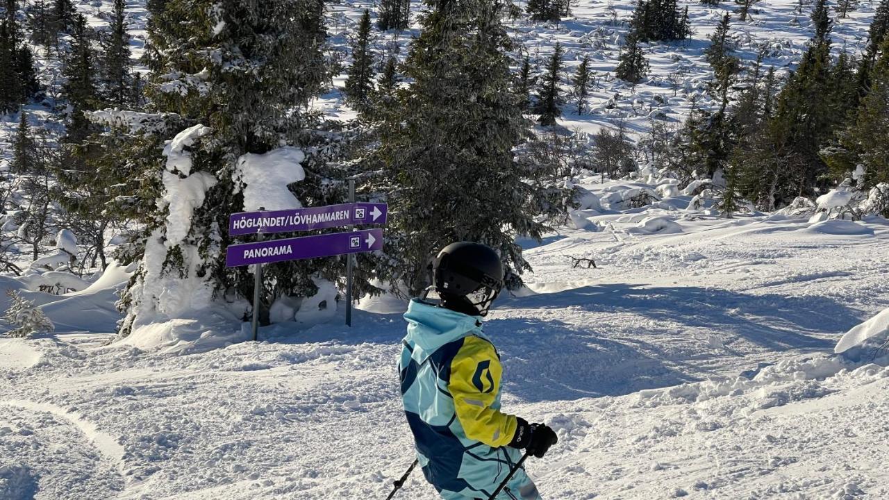Mountain Cabin ロフストーラン エクステリア 写真