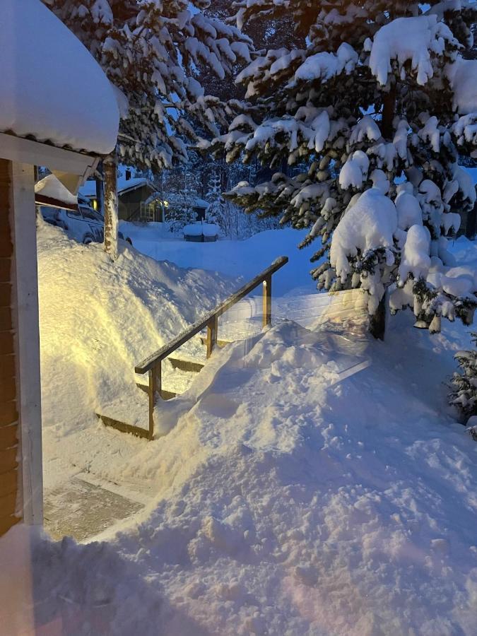 Mountain Cabin ロフストーラン エクステリア 写真